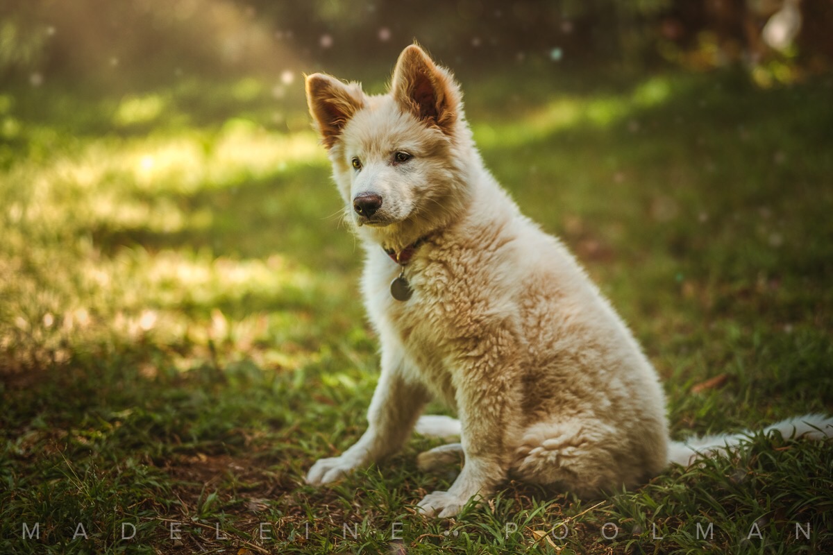 01ad9a21386cee78f32f80034bb0aedee67b889f7a